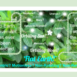 Green Leaves Scrolls Cosmos
