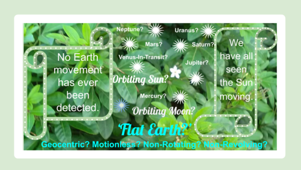 Green Leaves Scrolls Cosmos