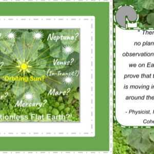 Green Plant Universe
