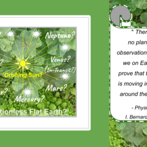 Plant Leaves Cosmos