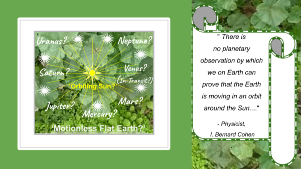 Plant Leaves Cosmos
