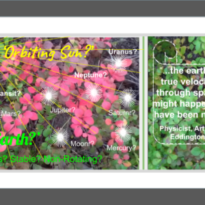 Nature Flowers 4