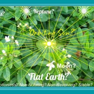 Leaves Universe 4