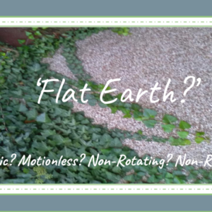 Ground Cover Leaves Universe Art Print