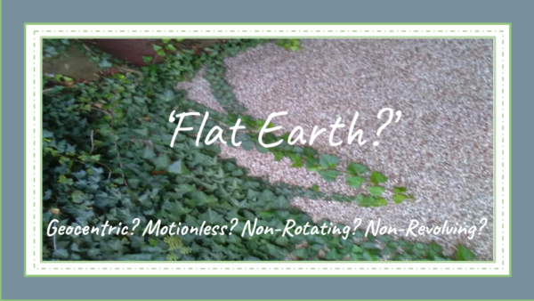 Ground Cover Leaves Universe Art Print