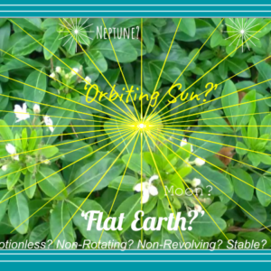 Green Leaves 6