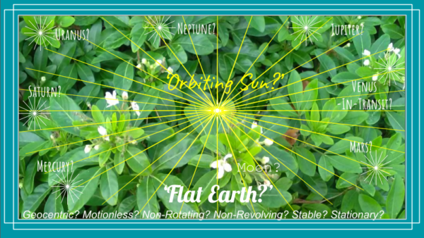 Green Leaves 6