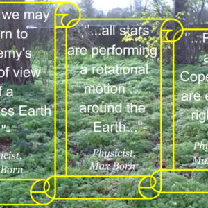 Nature Green Ground 1