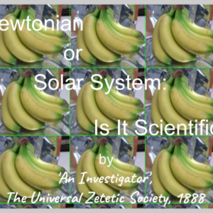 Nutrition Bananas 2a