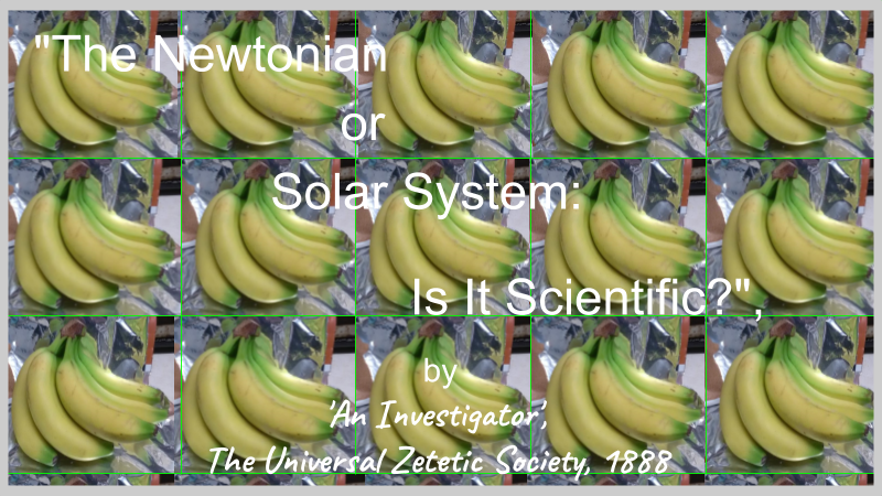 Nutrition Bananas 2a