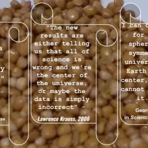 Nutrition Beans 2
