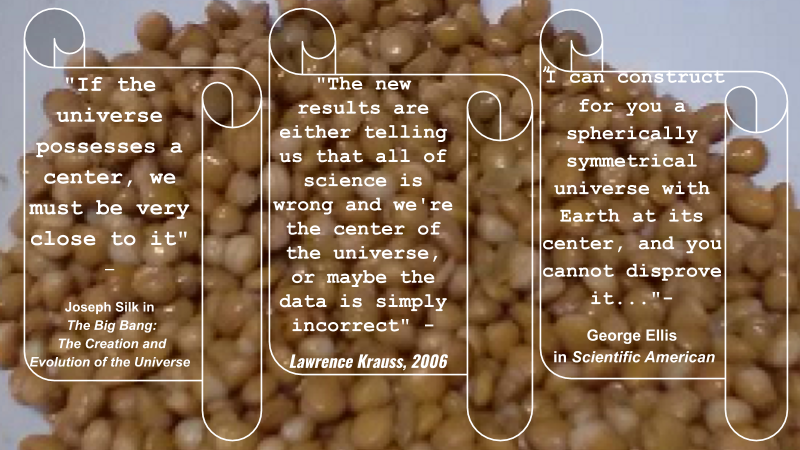 Nutrition Beans 2