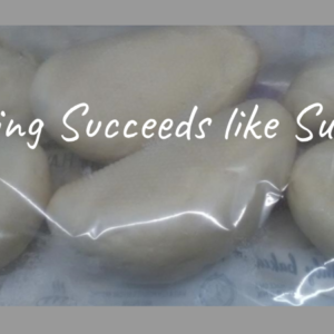 Nutrition Bread 4b