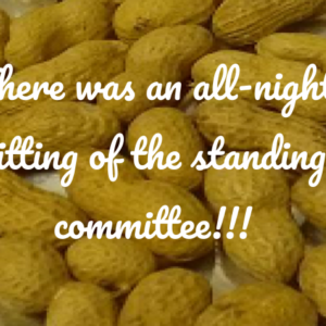Nutrition Groundnut 1