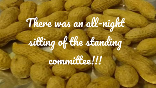 Nutrition Groundnut 1