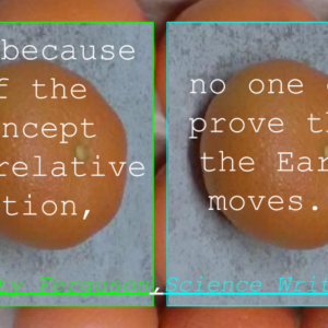Nutrition Tangerines 10