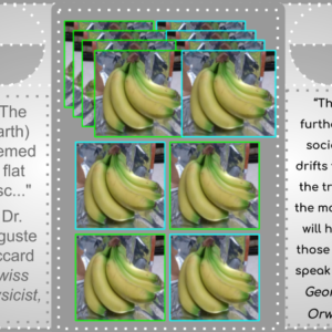 Nutrition Bananas 6