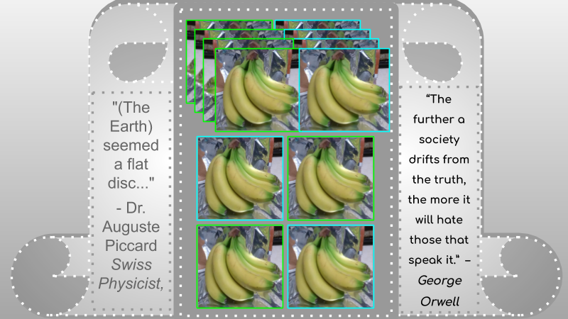 Nutrition Bananas 6