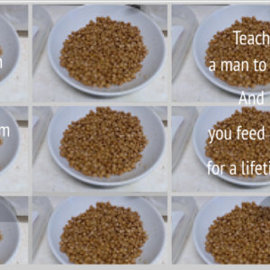 Nutrition Beans 2b