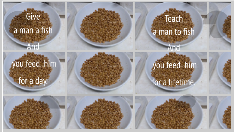 Nutrition Beans 2b