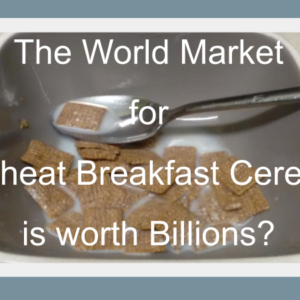 Nutrition Breakfast Cereal 1