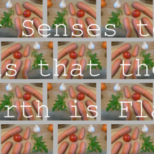 Nutrition Carrots 4