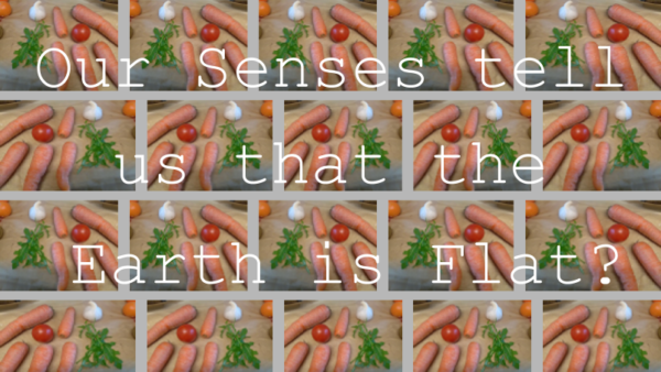 Nutrition Carrots 4