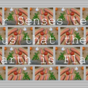 Nutrition Carrots 4a