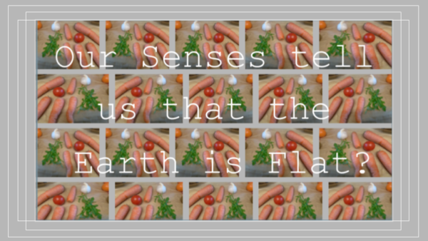 Nutrition Carrots 4a