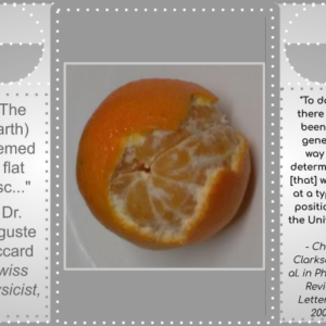 Nutrition Satsuma 1