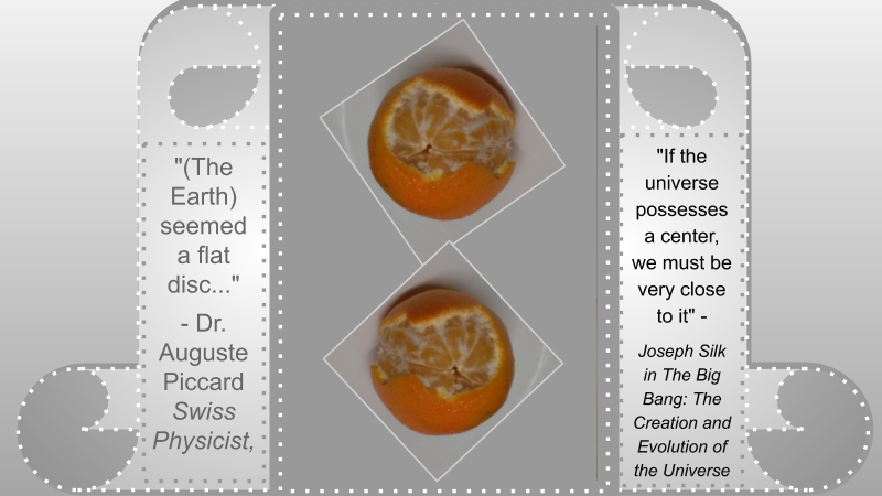 Nutrition Satsuma 4