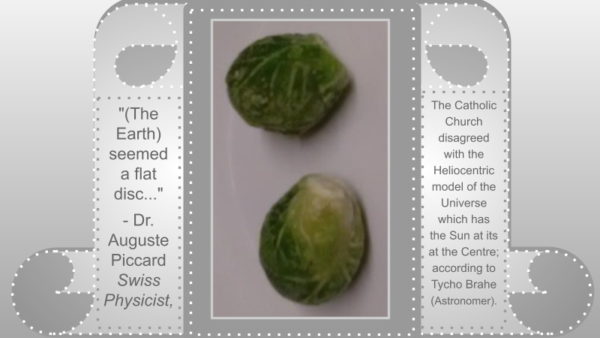 Nutrition Sprouts 1