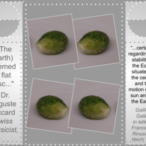 Nutrition Sprouts 4