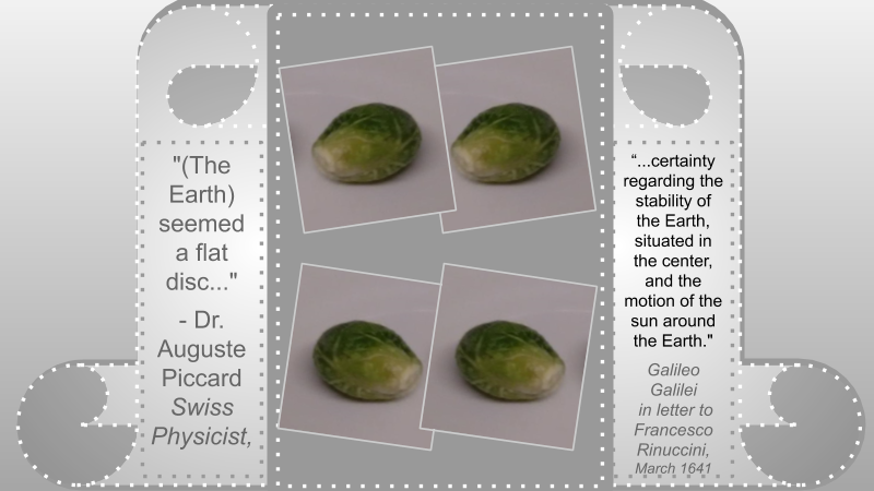 Nutrition Sprouts 4