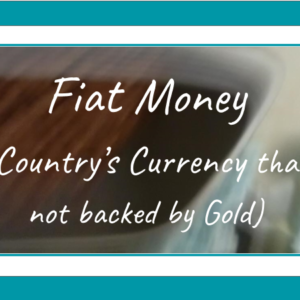 Other Fiat Money